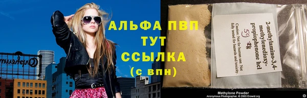 гидра Чегем