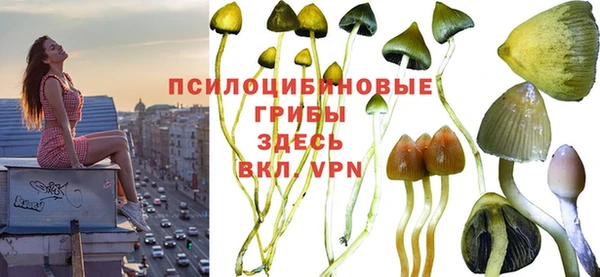 сатива Михайловка