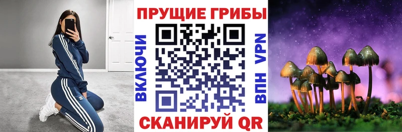 площадка как зайти  Удачный  Галлюциногенные грибы мухоморы 